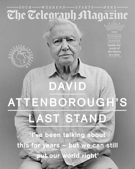 The Telegraph The Telegraph